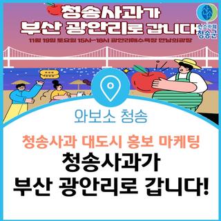 청송사과 대도시 홍보 마케팅, 청송사과가 부산 광안리로 갑니다~