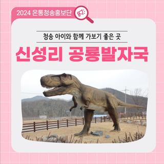 청송 아이와 함께 가보기 좋은 곳 신성리공룡발자국