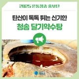 탄산이 톡톡 튀는 신기한 청송 달기약수탕