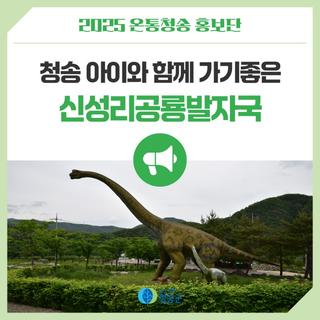 청송 아이와 함께 가기 좋은 신성리공룡발자국