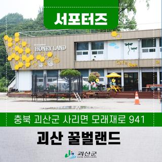 [SNS서포터즈] 괴산여행 괴산 아이들이 좋아하는곳 꿀벌랜드