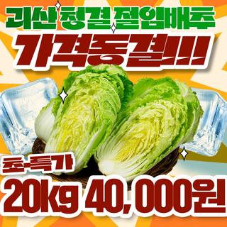 [괴산소식] 괴산 청결 절임배추 가격동결