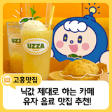 상큼한 유자의 매력, 여기 다 모였다!