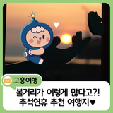 고흥에 볼거리가 이렇게 많다고 ?! 연휴내내 즐기기에도 모자라!