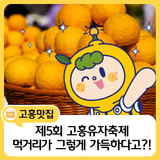 고흥유자축제 먹거리가 그렇게 맛있다고?!