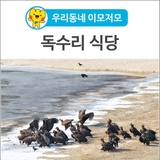 [우리동네 이모저모] 독수리를 가까이에 관찰할 수 있는 특별한 기회, '독수리 식당'