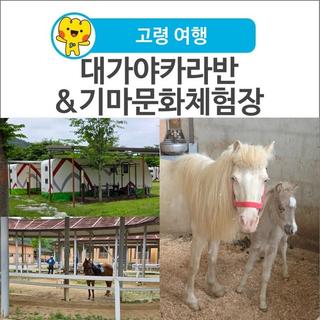 [고령 여행] 카라반 숙박과 승마 체험을 함께 즐길 수 있는 대가야카라반&기마문화체험장