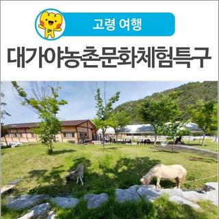 [고령 여행] 아이들과 함께 가볼만 한 곳, 대가야농촌문화체험특구