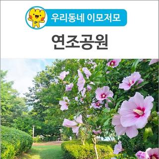 [우리동네 이모저모] 고령 연조공원! 무궁화 꽃이 전하는 애틋한 조국사랑을 품다!