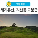 [고령 여행] 여름날 저녁에 걸어보는 지산동 고분군 탐방로
