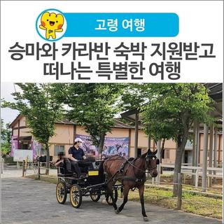 [고령 여행] 고령 1박 2일 여행, 승마와 카라반 숙박 지원받고 떠나는 특별한 여행
