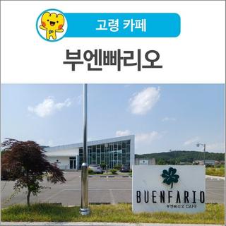 [고령 카페] 분위기 좋고 디저트 맛있는 대형카페 <부엔빠리오>