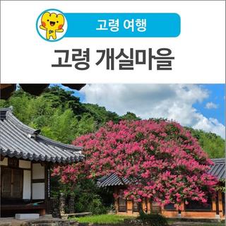 [고령 여행] 고즈넉하면서 배롱나무 꽃이 예쁘게 피어 있는 고령 개실마을