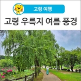 [고령 여행] 고령 우륵지 여름 풍경｜연꽃과 배롱나무가 물드는 대가야 감성 산책지