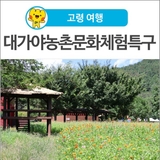 [고령 여행] 고령 캠핑, 카라반, 승마체험, 꽃놀이, 물놀이 까지 가능한 대가야농촌문화체험특구