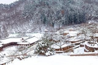 여러분과 함께 해서 더욱 아름다웠던 곡성 풍경 1년을 돌아봅니다.