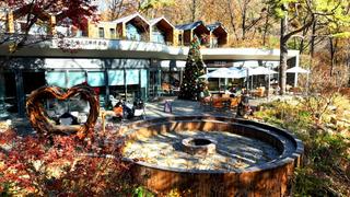 자연휴양림 수락휴 트리하우스 2026년 1월 숙박을 위한 우선 & 일반 예약! 구민할인, 산림청 숲나들이, 크리스마스 트리, 방문자센터