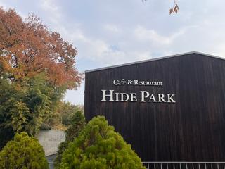 [용인여행] 예쁜 꽃과 식물이 가득한 곳에서 힐링_지앤아트 스페이스 & 하이드파크