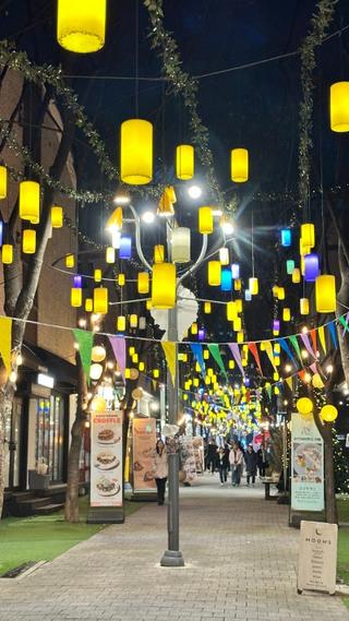 [용인생활] 보정동 카페거리, 밤이 되면 더 화려해진다