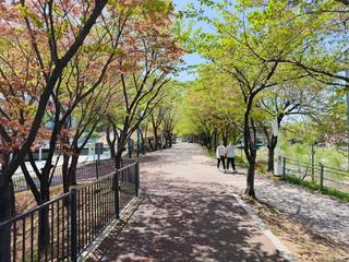 [용인생활] 용인 데이트코스 추천, 지앤아트스페이스 튤립 계단이 예쁜 식물카페