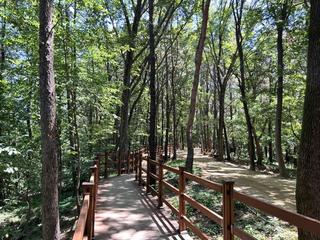 [용인여행] 한숲근린공원, 자연친화적 숲길 산책