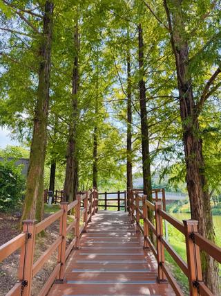 [용인생활] 용인 동백호수공원 데크길 조성! 휠체어 유모차 모두 가능한 용인시민 휴식공간