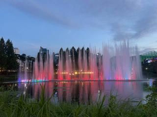 [용인생활]용인 동백 호수공원 음악분수와 여름밤