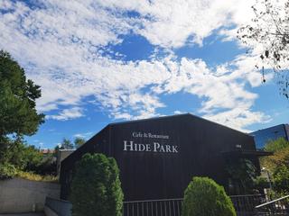 [용인생활] 꽃을 보며 힐링할 수 있는 지앤아트스페이스 용인 화원 식물카페