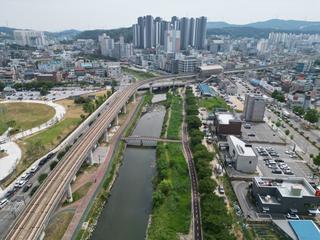 [용인생활] 용인 도심 속 포토스팟! 황금빛 억새 가득한 경안천 러닝 코스