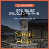 상주의 천년고찰 도림사를 가다!