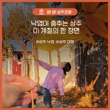 낙엽이 춤추는 상주, 이 계절의 한 장면