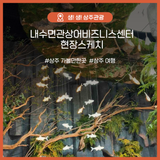 내수면관상어 비즈니스 센터 현장스케치