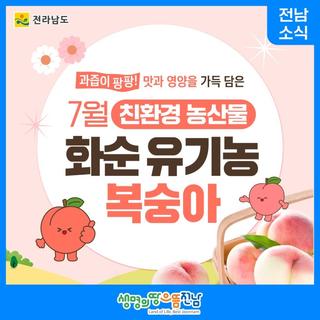 [전남 소식] 7월 친환경 농산물 선정 '화순 유기농 복숭아'