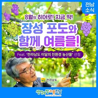 [전남 소식] 8월 친환경 농산물 선정 '친환경 장성 포도'