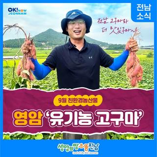[전남 소식] 9월 친환경농산물 선정 영암 '유기농 고구마'