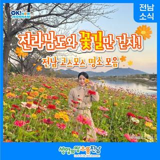 [전남 여행] 전라남도와 꽃길만 걷자!