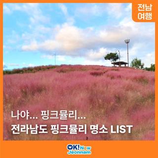 [전남 여행] 전라남도 핑크뮬리 명소 추천 LIST