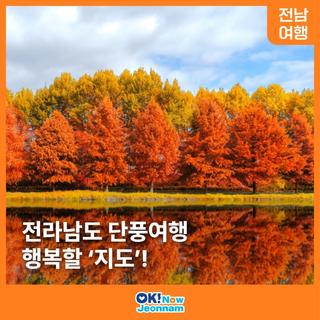 [전남 여행] 전남 단풍 여행 스팟 지도로 한눈에 확인하기!