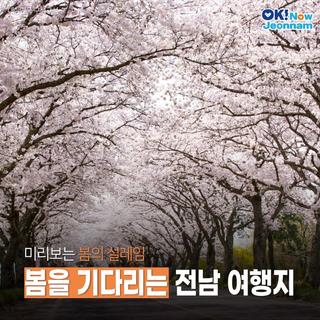 [전남여행] 봄을 기다리는 전남 여행지