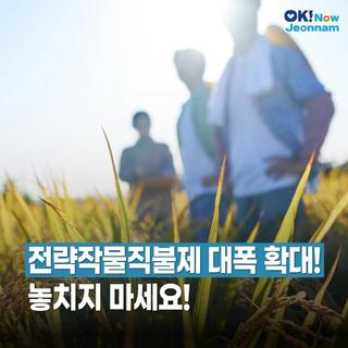 [전남정책] 2025 전남 전략작물직불제 대폭 확대!