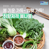 [전남소식] 봄기운 가득, 입맛 가득! 취향 저격 봄나물