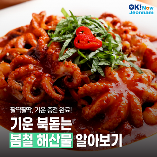 [전남소식] 기운팔팔! 봄철 해산물 알아보기