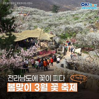 [전남여행] 놓쳐서는 안 될!  전남 3월 꽃 축제