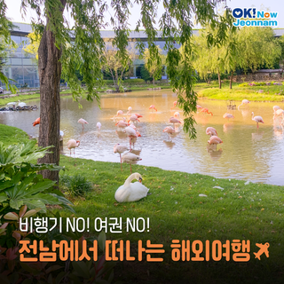 [전남여행] 전남에 이런 곳이? 차 타고 떠나는 해외여행