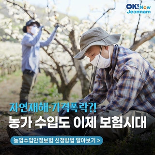 [전남 정책] 자연재해·가격폭락?! 농가 수입도 이제 보험시대, 농업수입안정보험