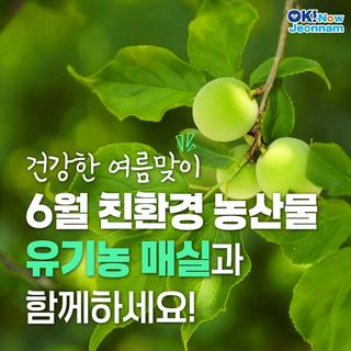 [전남소식] 6월 친환경농산물에 유기농 매실 선정