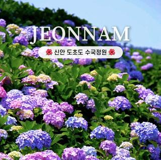 [전남여행] 지금이 딱! 수국이 흐드러지게 핀 그 길, 걸어보세요