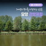 [전남 서포터즈] 전남 담양 관방제림과 국수, 남도 여름 미식 여행 완벽 가이드