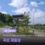 [전남 서포터즈] 여기 곡성 맞아? 제월섬, 숨겨진 메타세콰이어 밀림부터 신비로운 함허정까지