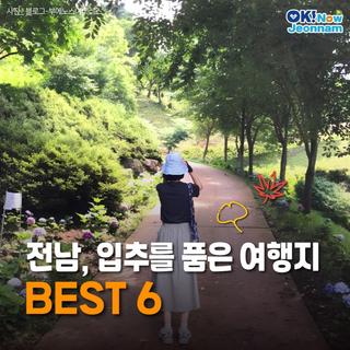 [전남여행] 입추에 산책하기 좋은 전남 여행지, 전남 ‘입추 산책길’ BEST 6